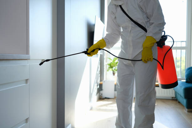 Best Toxic Mold Removal  in Brunswick, MD