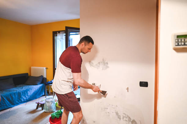Best Water Damage Restoration  in Brunswick, MD