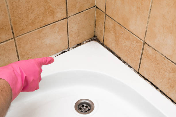 Crawl Space Mold Removal in Brunswick, MD